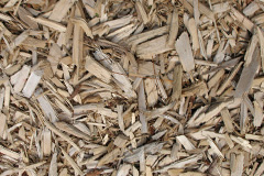 biomass boilers Gregynog