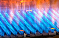 Gregynog gas fired boilers